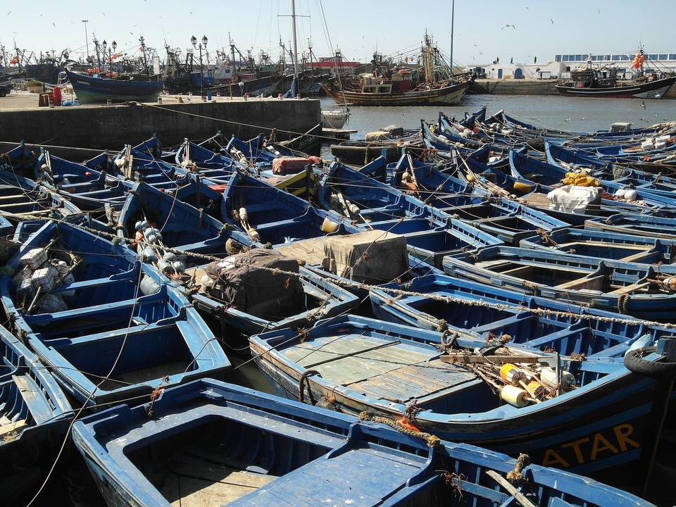 Blue fishing boats in Essaouira port