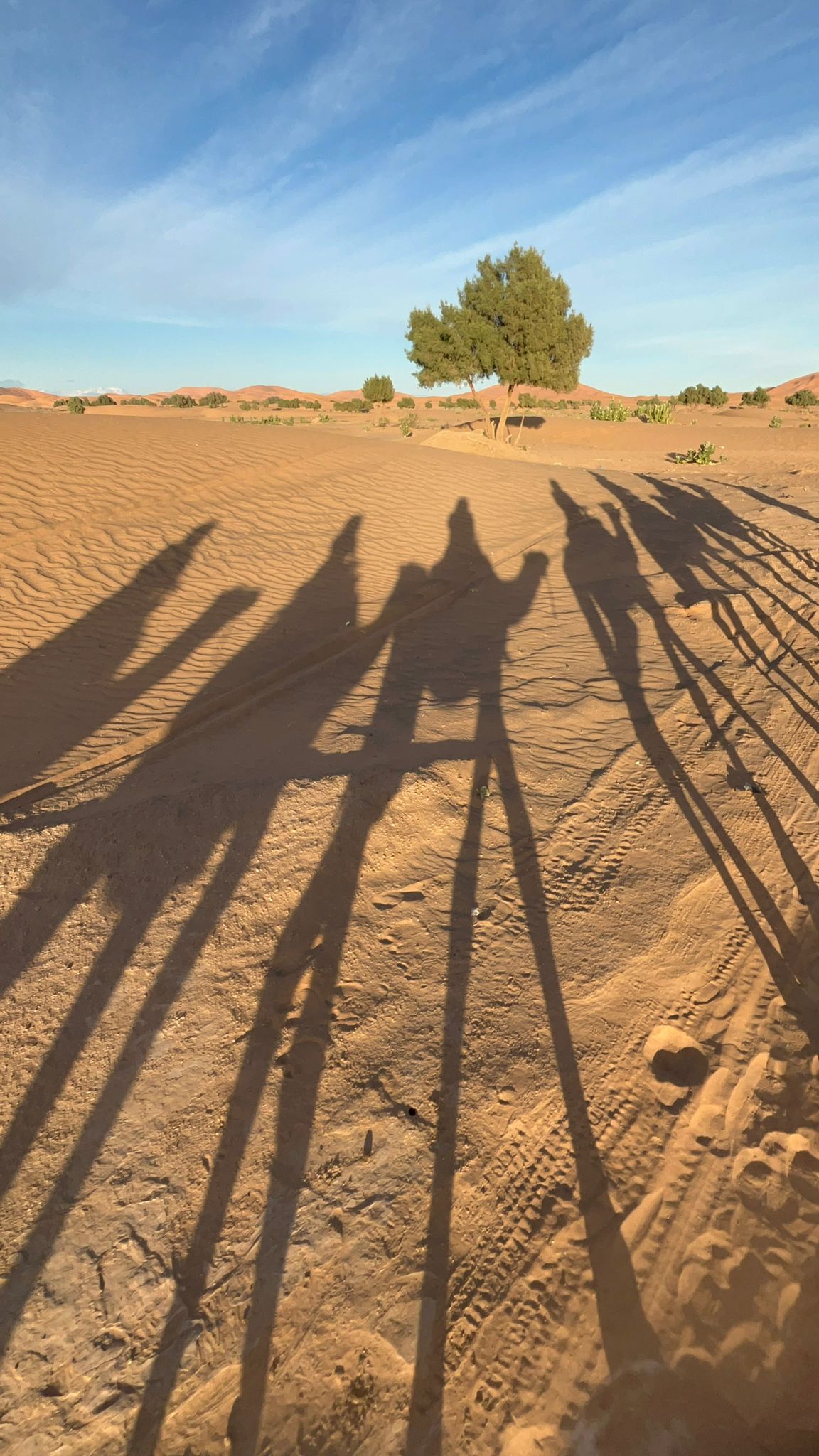 Golden Erg Chebbi dunes near Merzouga at sunset on the two-night Sahara circuit