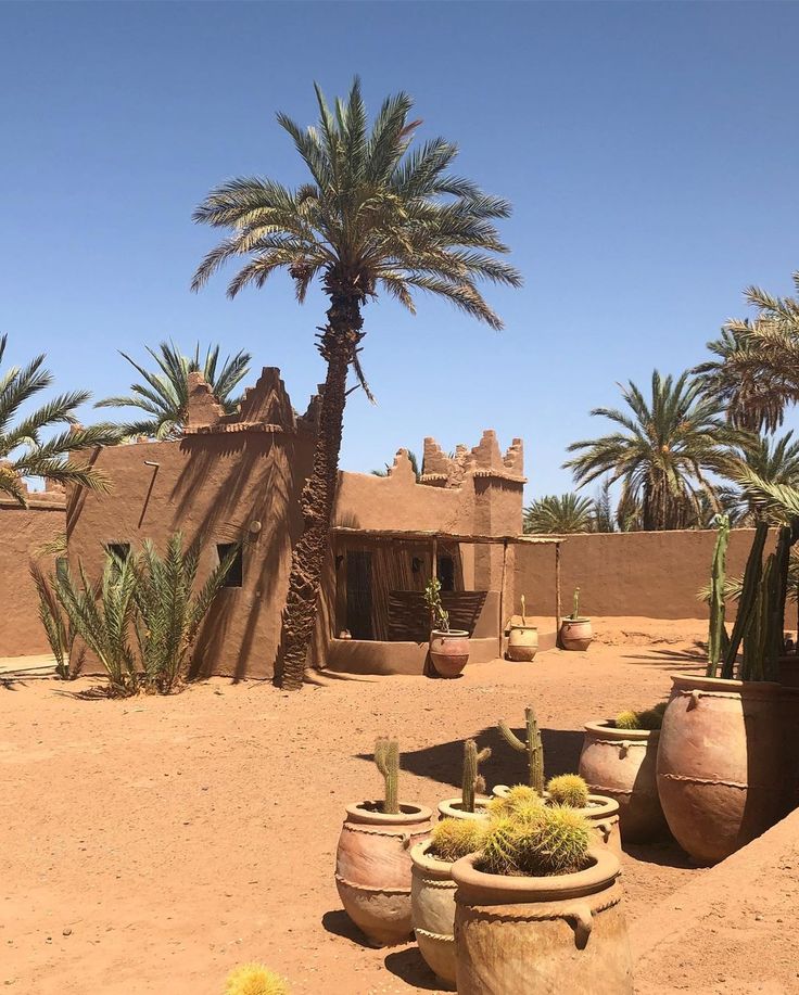 Camel ride in the Zagora desert