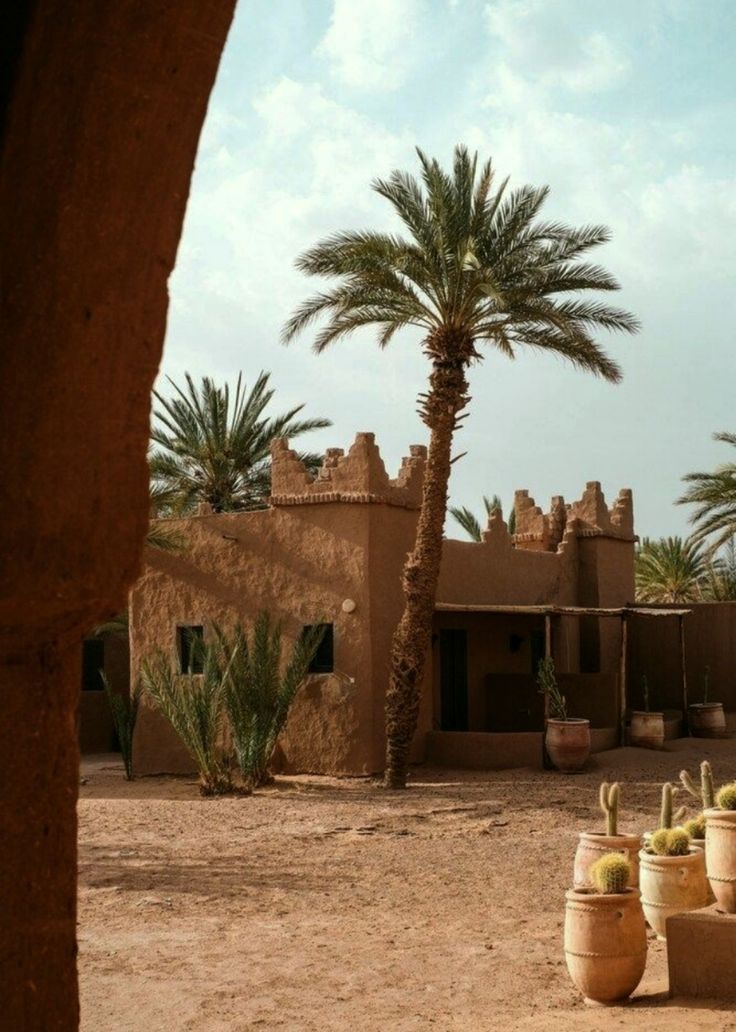 Draa Valley palm groves near Zagora